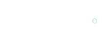 logo-bleu