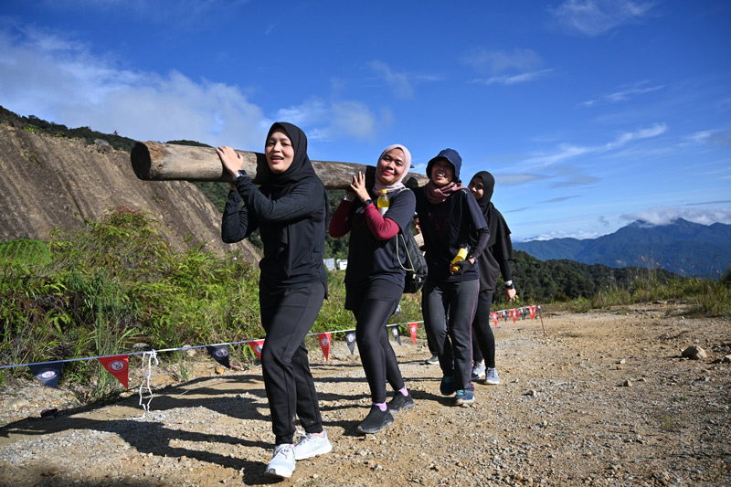 Log-Carry